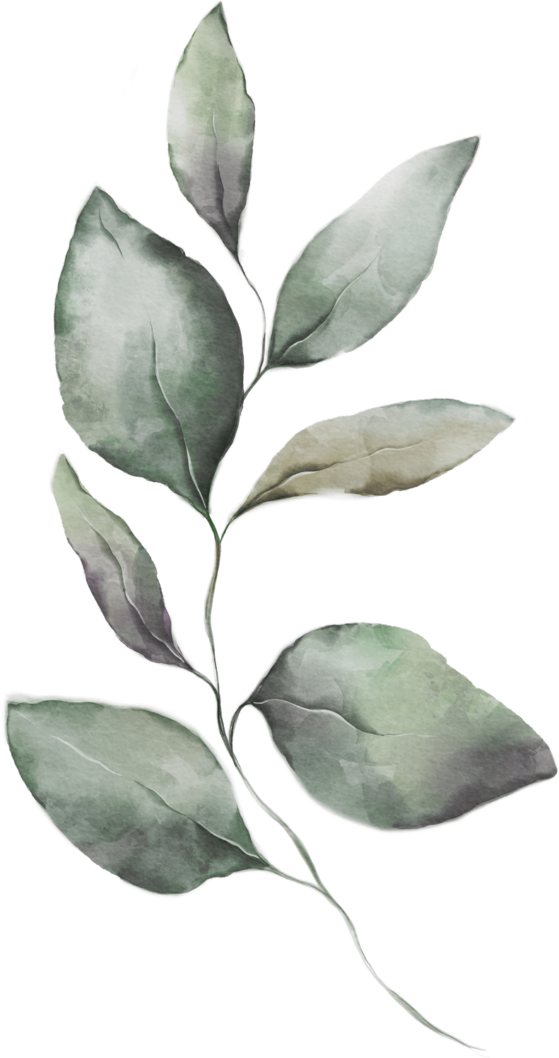 Gentle watercolor leaf