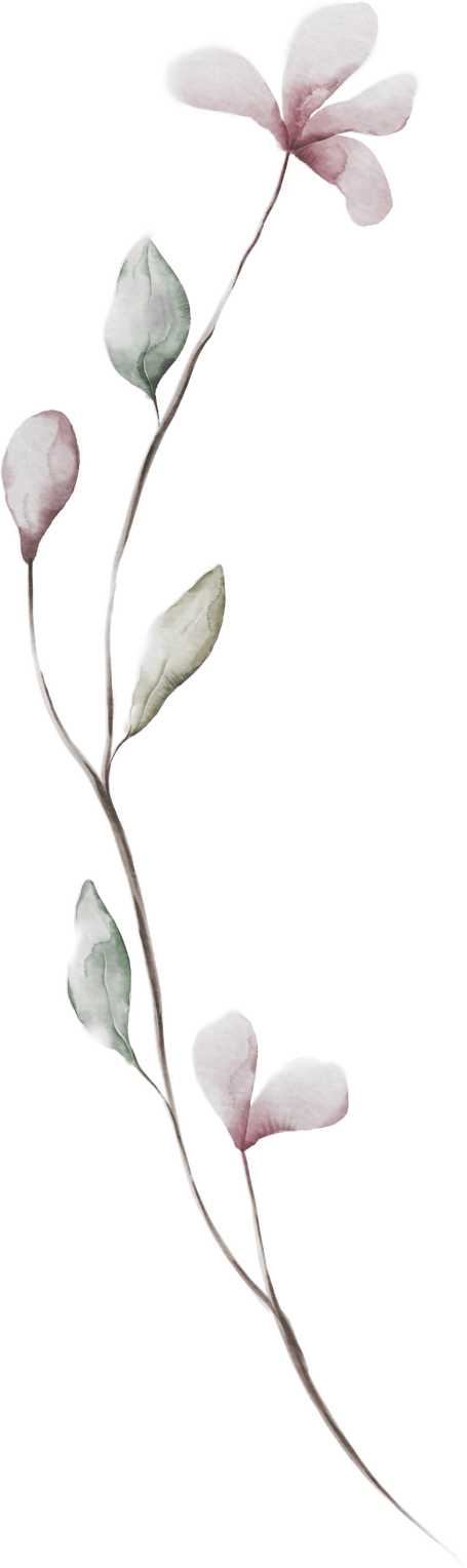 Gentle watercolor leaf
